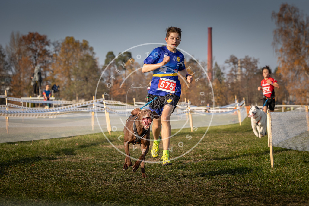 CaniXpix_0L8A9549 | Hundefotografie, Tierfotograf, Pfotenfotografie, Fotoshooting Hund, Hunde Portrait, Hundesport, Hundeportraits, Heideshooting, Hunde, Sportfotograf, Hundefotograf, Turnierhundsport, THS,  - Realisiert mit Pictrs.com