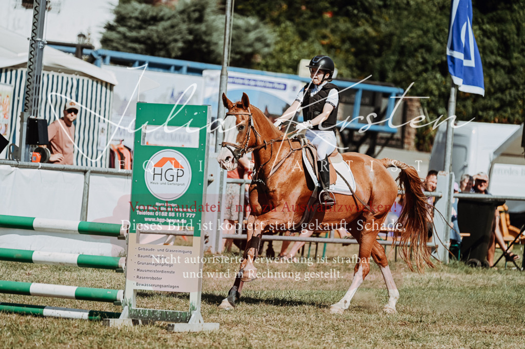 DSC_9526 | Pferde- und Turnierfotografie in Westsachsen. Pferdeportraits, Auftragszeichnungen und intuitive Kunst.