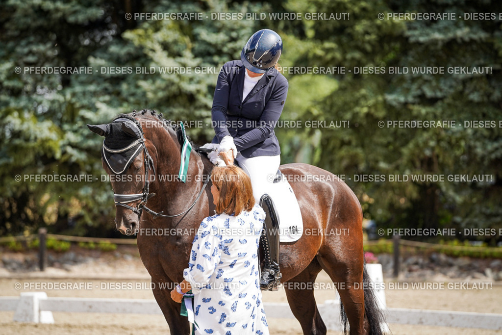 DSC09702 | Pferdegrafie