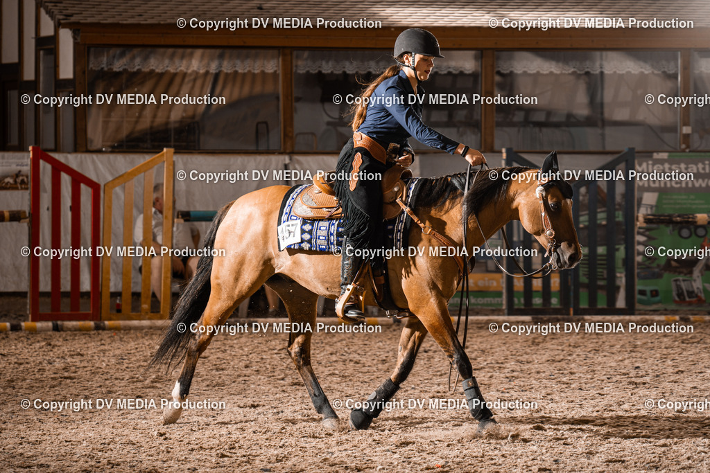 ZH300600 | dv-media-shop - Realisiert mit Pictrs.com