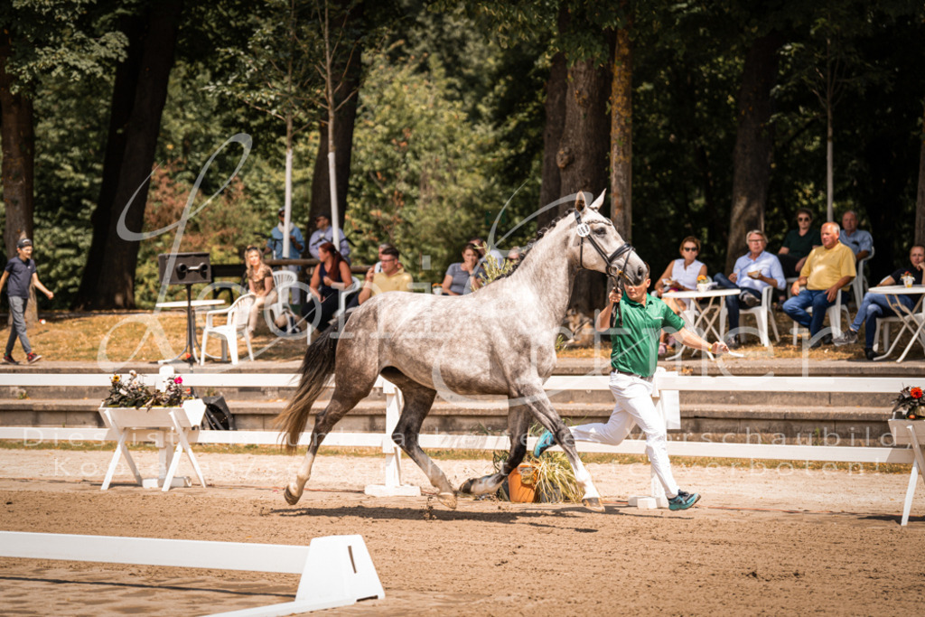 1.Fr00063 | Leoni Ertmer Photography - Realisiert mit Pictrs.com