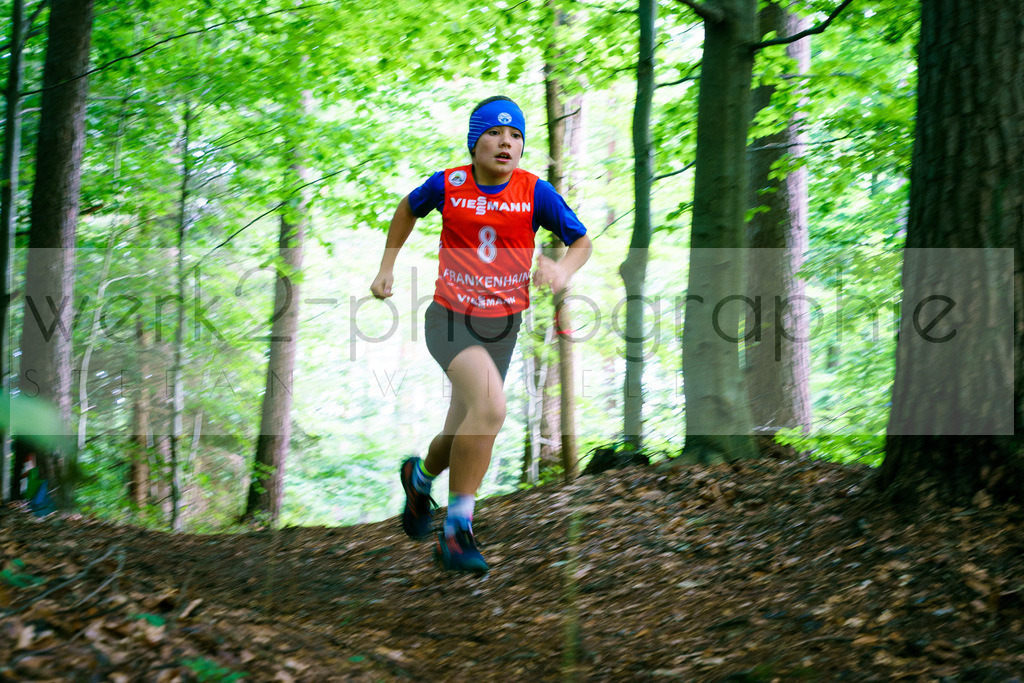 Rolf-Schumann-Gedächtnislauf | Frankenhain, 30.08.2025
