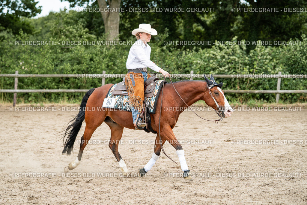 DSC02116 | Pferdegrafie