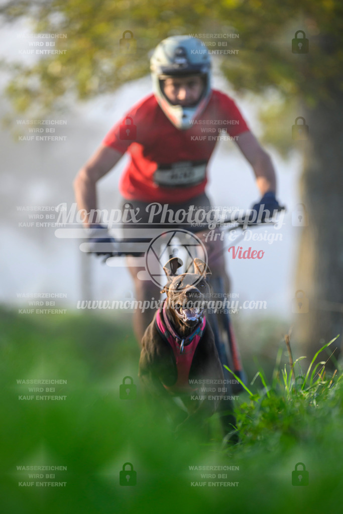 MompixPhotography_20TSB_E3_Bike-35 | PayLife