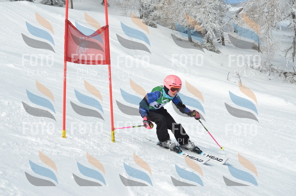 D8646 | holidayphoto