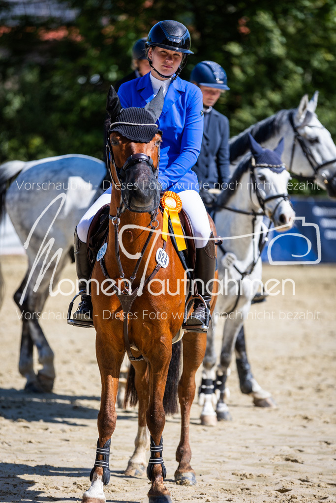 Donop24-A2Spr-190 | MomenTaufnahmen Pferdesportfotos