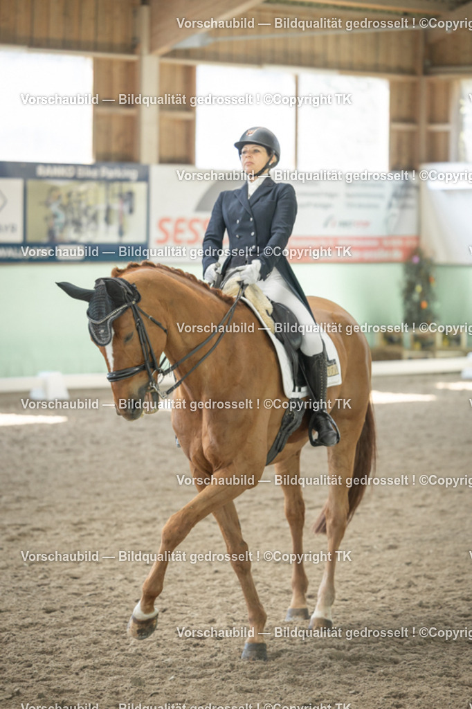 _D5A1440 | Emotionale Pferde- & People-Fotografie rund um Heidelberg, Leimen & Umgebung. Natürliche Fotos von Pferd, Mensch & Familie. Jetzt Termin sichern!