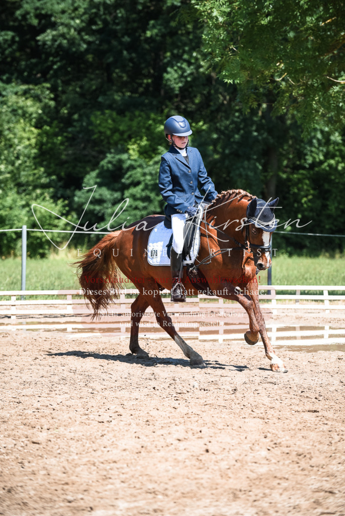 DSC_3533 | Pferde- und Turnierfotografie in Westsachsen. Pferdeportraits, Auftragszeichnungen und intuitive Kunst.