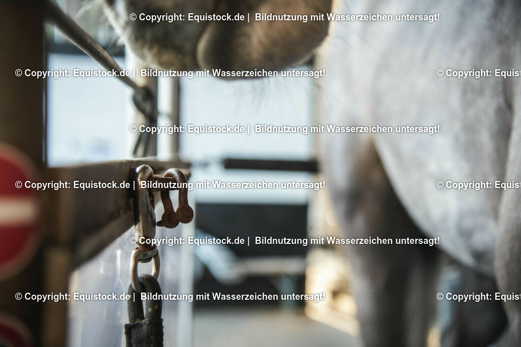 20200118_Laufband_0015 | Foto: Thomas Hartig