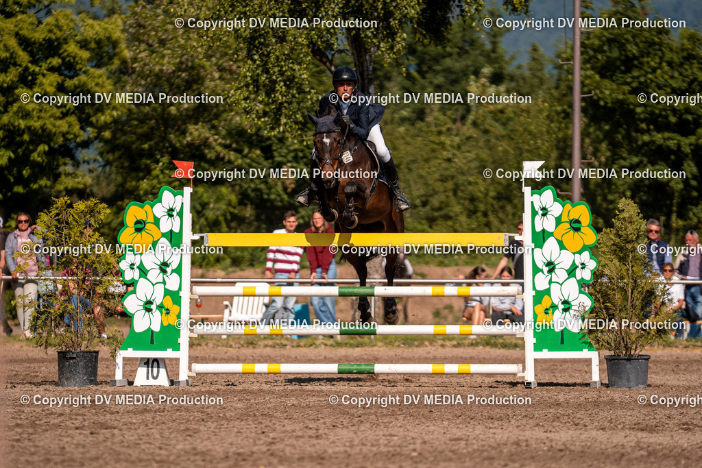 Eppelheim Tag 3-869 | dv-media-shop - Realisiert mit Pictrs.com