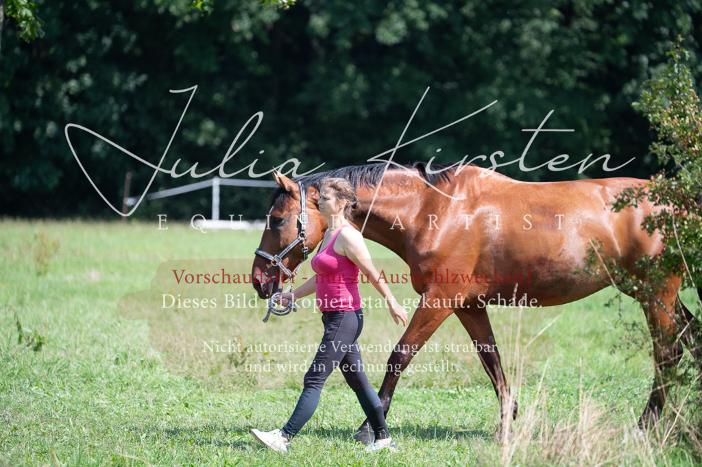 DSC_0586 | Pferde- und Turnierfotografie in Westsachsen. Pferdeportraits, Auftragszeichnungen und intuitive Kunst.