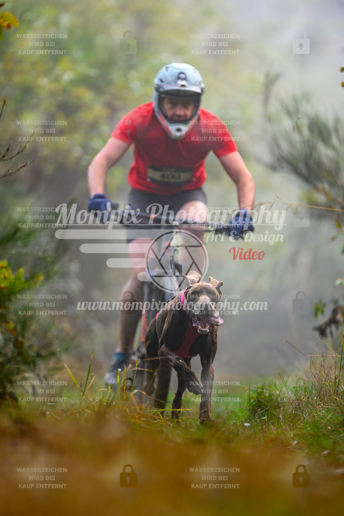 MompixPhotography_20TSB_E4_Bike-26 | PayLife