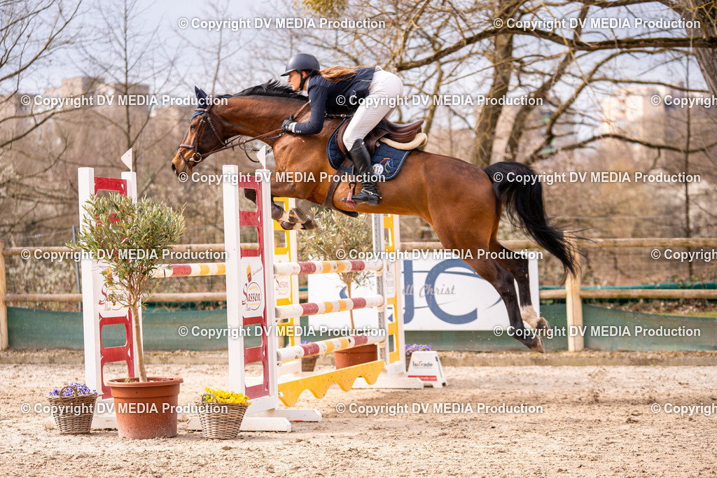 Kranichstein Tag 2-377 | dv-media-shop - Realisiert mit Pictrs.com