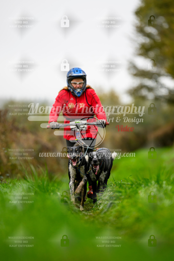 MompixPhotography_20TSB_E8_DS2-21 | PayLife