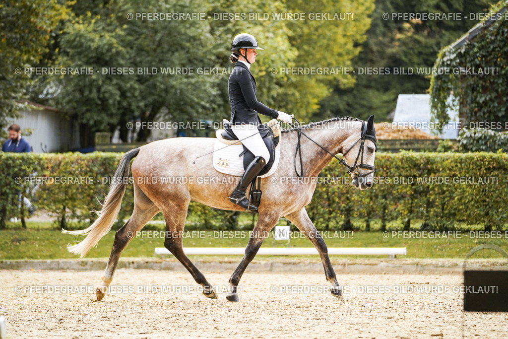 DSC01505 | Pferdegrafie