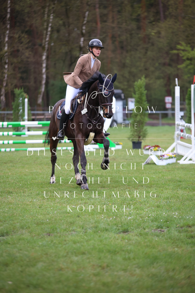 IMGT3255 | pl-fotografie