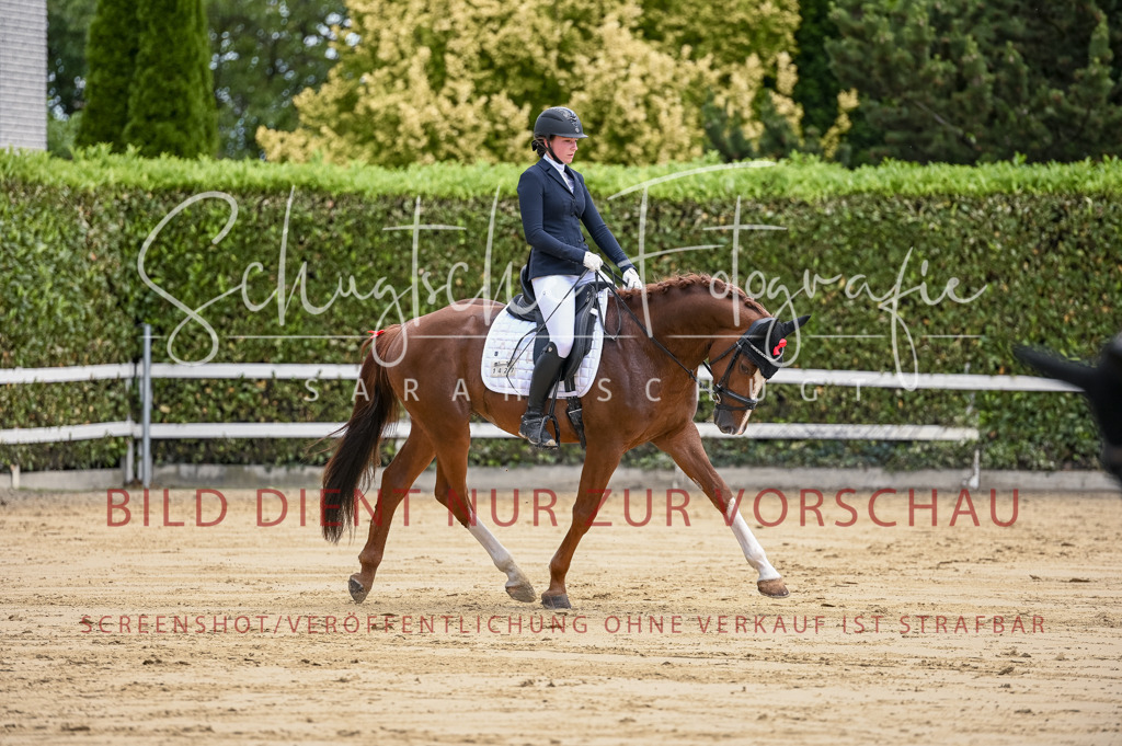 Schugtsche-Aluta25-48.Reitpferfdeprf.-170 | Schugtsche Fotografie - Realisiert mit Pictrs.com