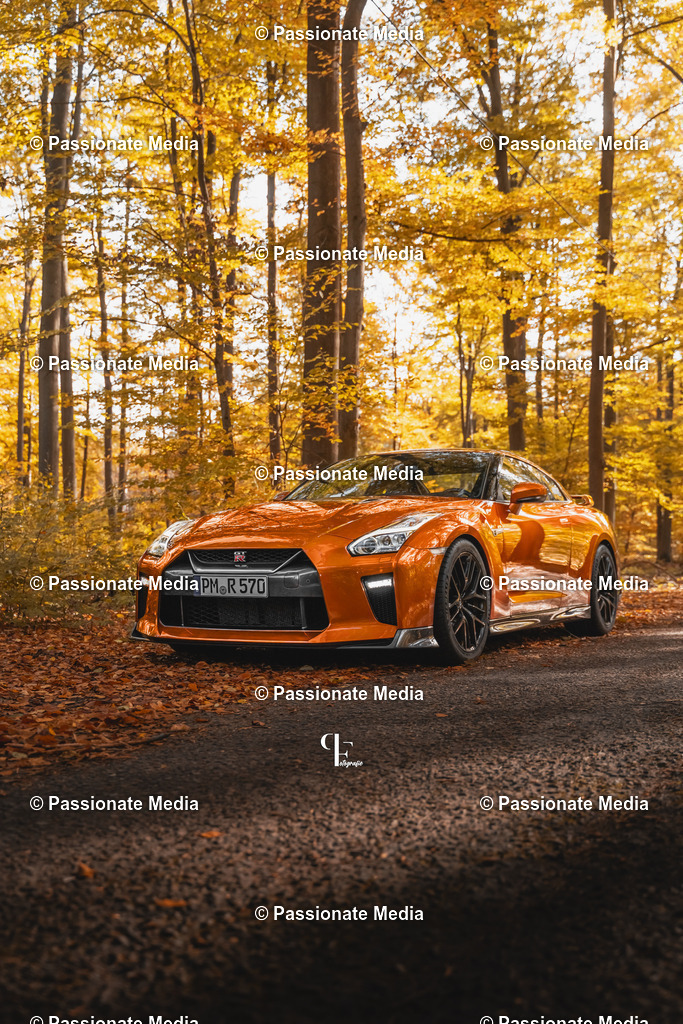 DSC06242 | Passionate Media, dein Fotograf aus Brandenburg, Märkisch Oderland, im Bereich Motorsport, Autos und Motorräder sowie Events und auch Hunde. Shootings oder auch Eventbegleitungen können bei mir gebucht we