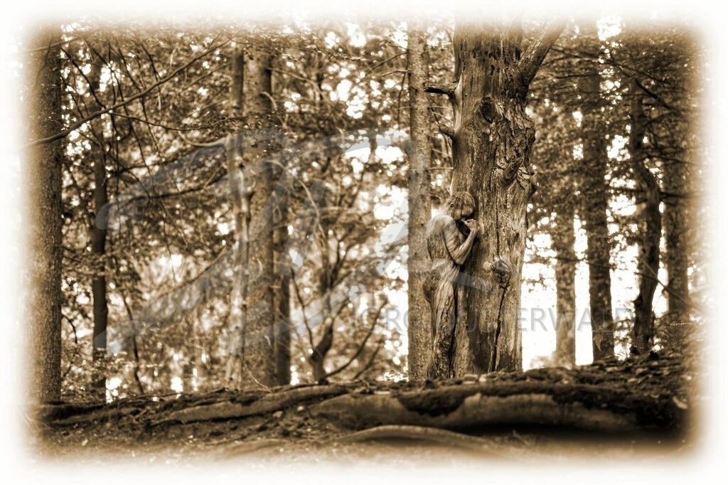 NatureArt-JAHNBAUM_8155c2 | Waldgedanken in Sepia | #001 | Modell: Martina | Foto: Jörg Bredemeier - Realisiert mit Pictrs.com