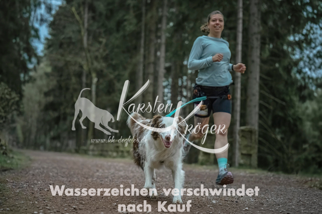 0830_ZZ91972 | kk-dogfotos