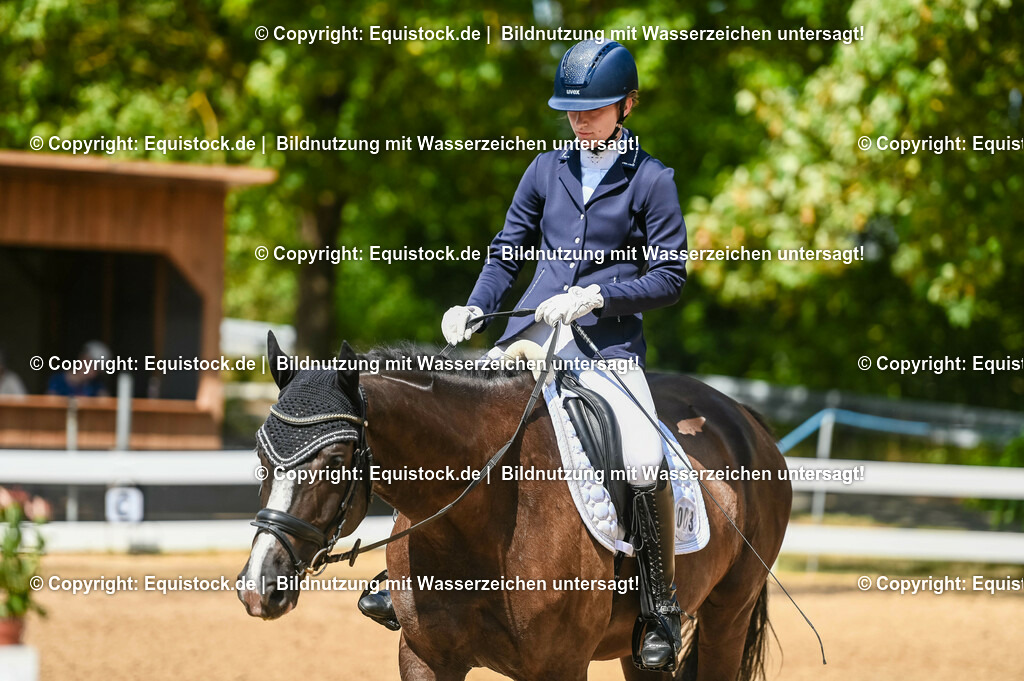 20230715_02_Dressurreiterprüfung Kl.L_0317 | equistock