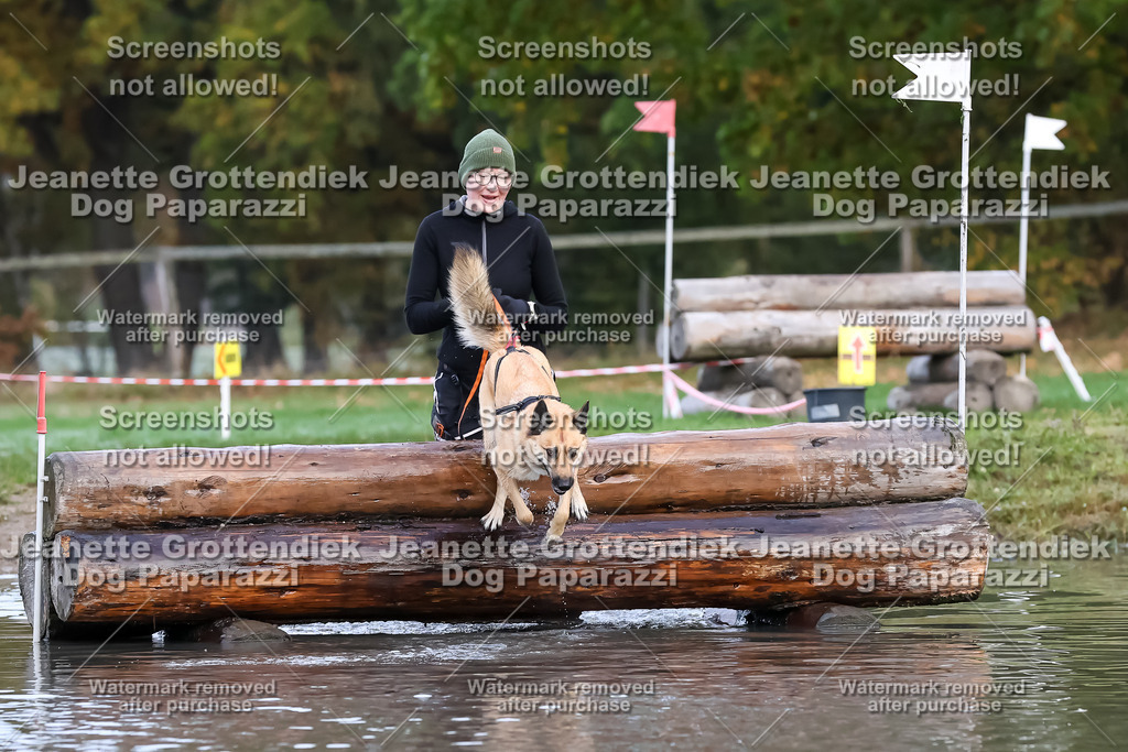 Dog Paparazzi - Strongdog 10-25-6421 | Dog Paparazzi Jeanette Grottendiek Fotografie & Videografie - Realisiert mit Pictrs.com