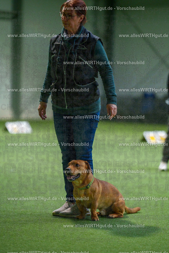 7R507218 | Professionelle Tierfotografie in Mönchengladbach von Daniel Wirth (allesWIRTHgut). Liebevolle & natürliche Bilder von Hunden & Katzen für unvergessliche Erinnerungen.