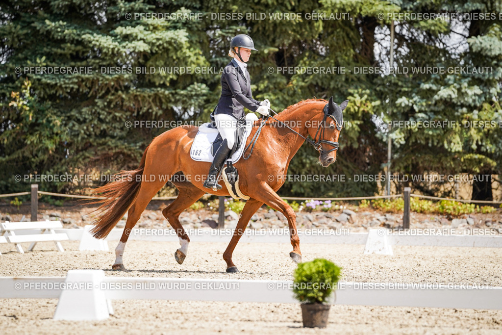 DSC00905 | Pferdegrafie