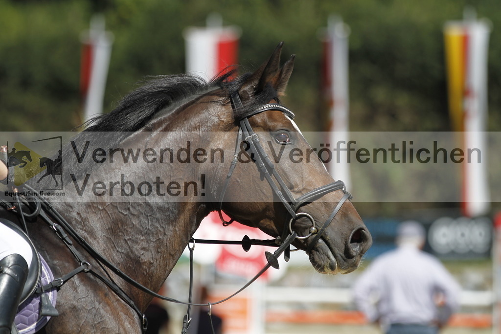 _MG_4702 | equestrian-live-com