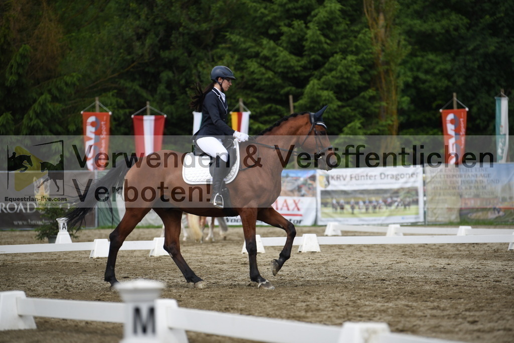 DSC_8632 | equestrian-live-com