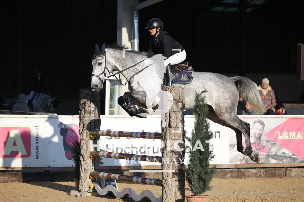 DL2Q0643 | Willkommen bei Brunnmayr - Design & Fotografie – Ihrem Spezialisten für Reitturniere und Pferdeveranstaltungen in Oberösterreich, Salzburg und Bayern! Seit über 17 Jahren sind wir leidenschaftlich dabei.