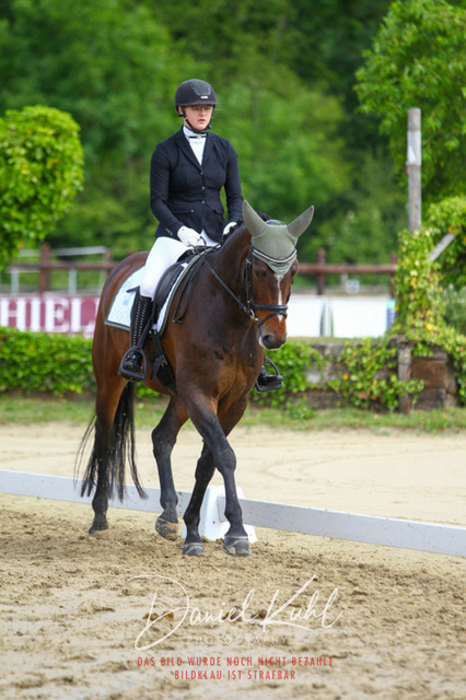 DKP45661 | Turniersportfotografie; Pferdefotografie; Dressurfotografie