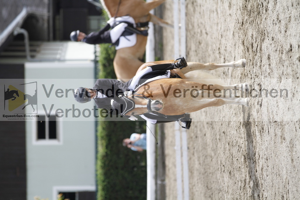 _MG_1013 | equestrian-live-com