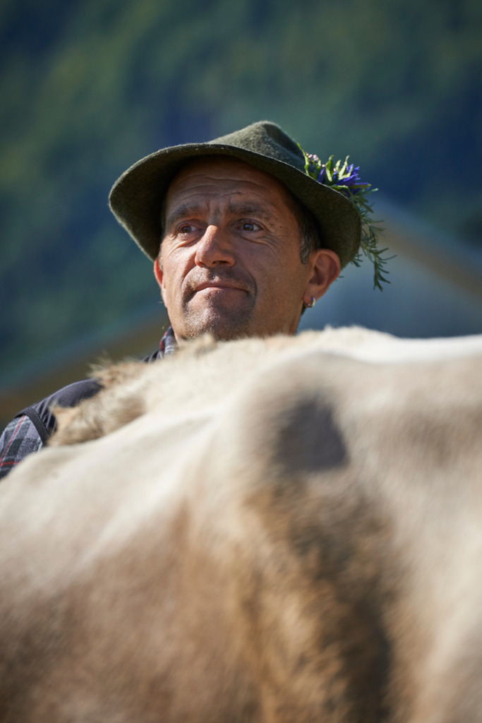 Alptag in Schwarzenberg | Schwarzenberg, Austria - September 08, 2015: Alptag in Schwarzenberg; Kuhhirte und Kuh. - Realisiert mit Pictrs.com
