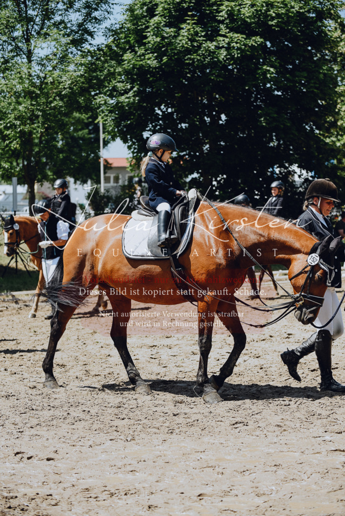 DSC_2561 | Pferde- und Turnierfotografie in Westsachsen. Pferdeportraits, Auftragszeichnungen und intuitive Kunst.