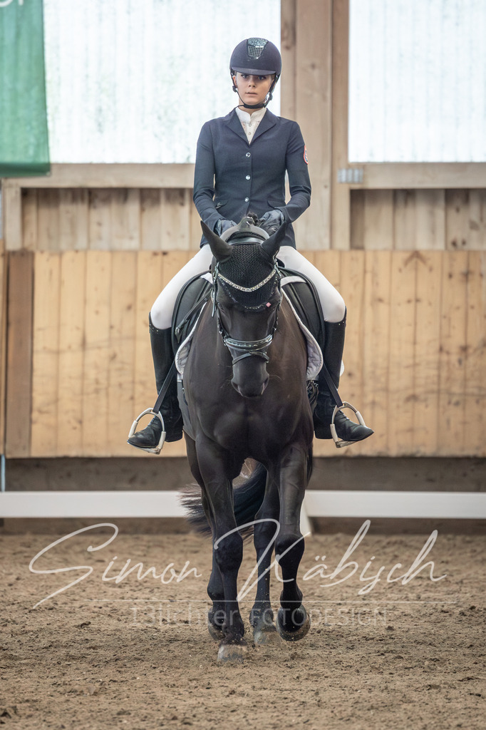 20251011-_3LI6347 | Tierfotografie Pferde, Hunde, Katzen, Haustiere.
Turnierfotografie Reitturniere, Reiten, Springreiten, Dressur in Hanau, dem Main-Kinzig-Kreis und dem Rhein-Main- Gebiet um Frankfurt