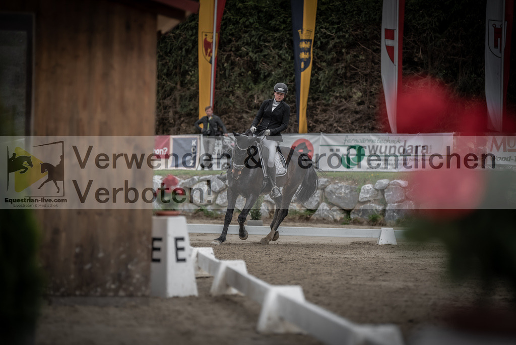 DSC_9274 | equestrian-live-com