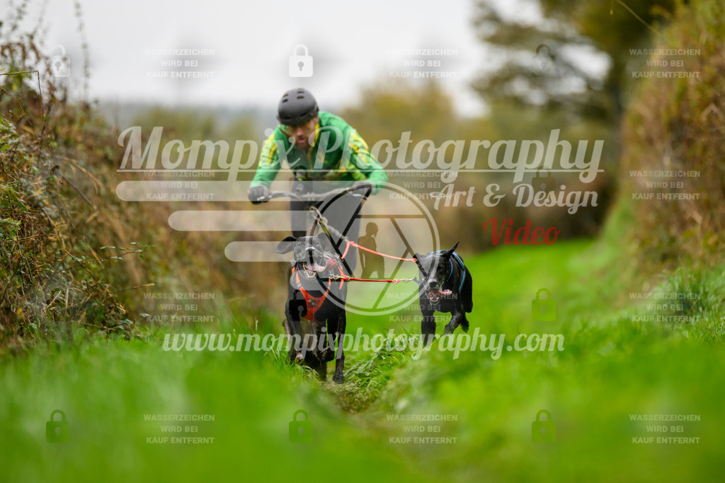 MompixPhotography_20TSB_E8_DS2-31 | PayLife