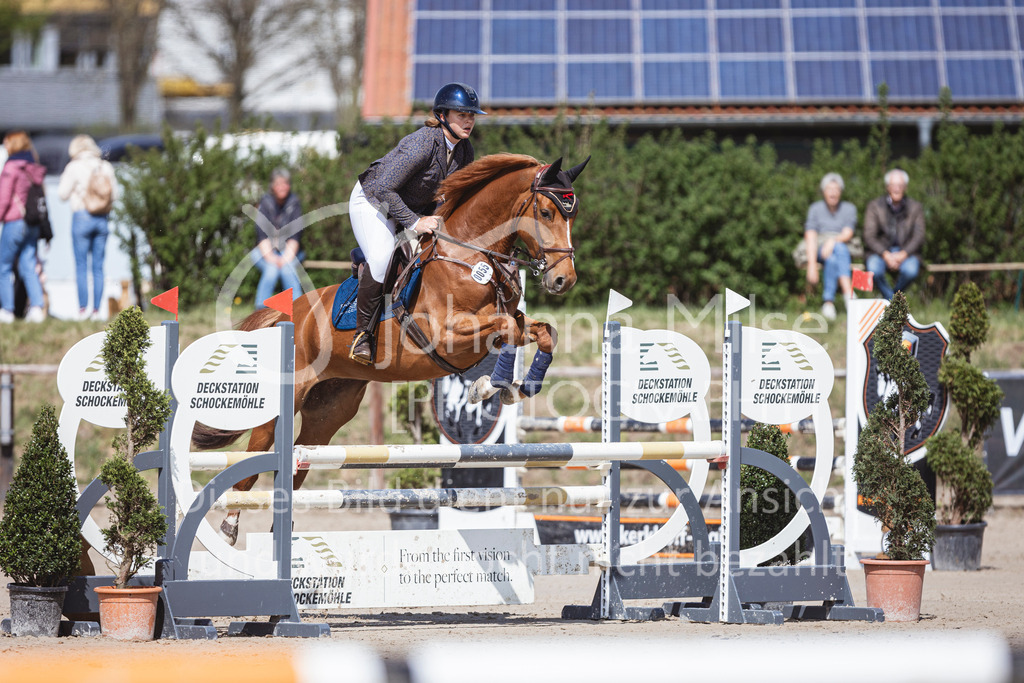 250419_Frühlingsfest_Stil-A2-2-606 | Deine schönsten Turniermomente als professionelle Fotos! Entdecke hochwertige Pferdesport-Fotografie im Online-Shop. Jetzt Fotos finden & bestellen!