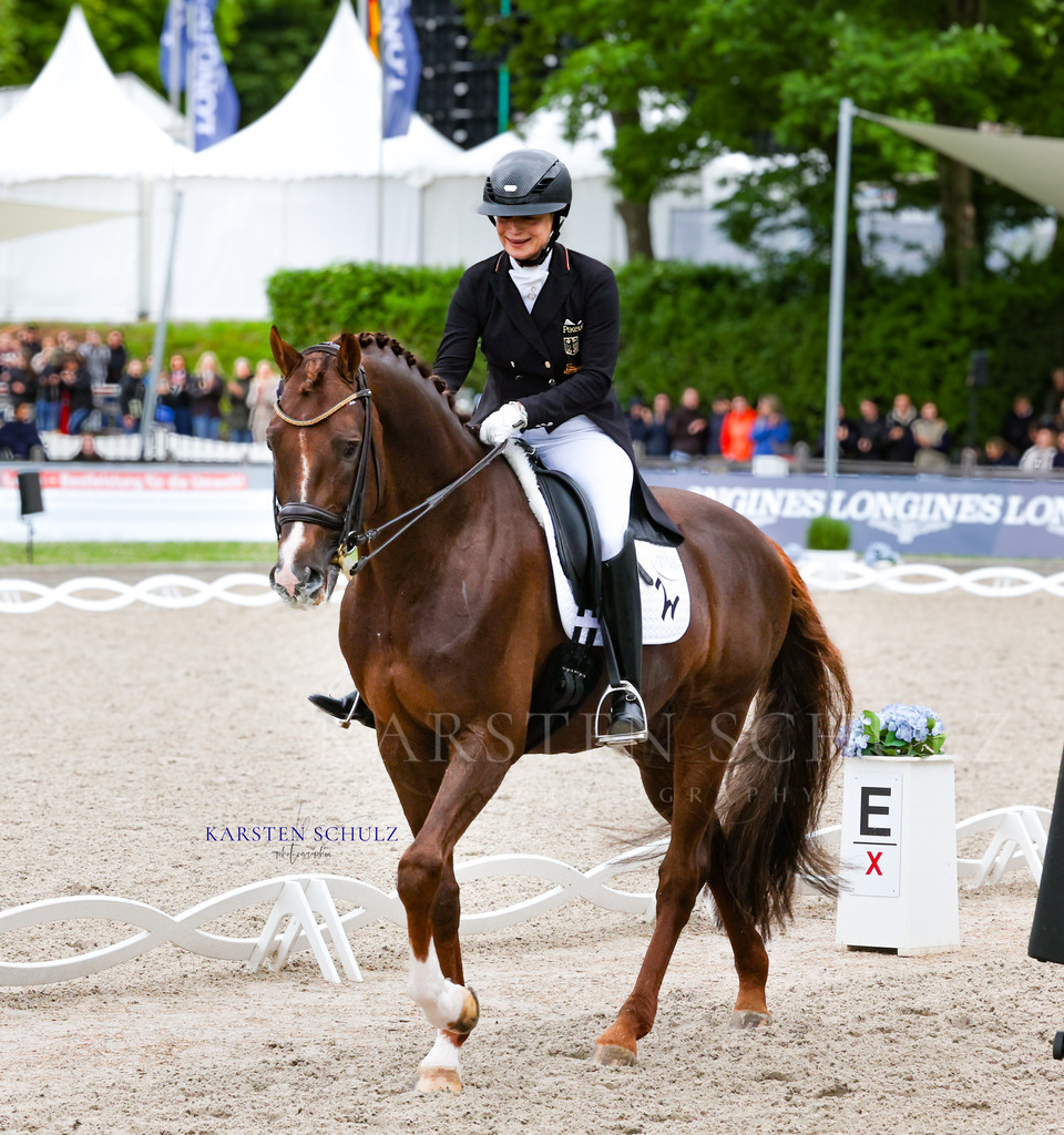 1B3A8437 | Reitsport Reiten