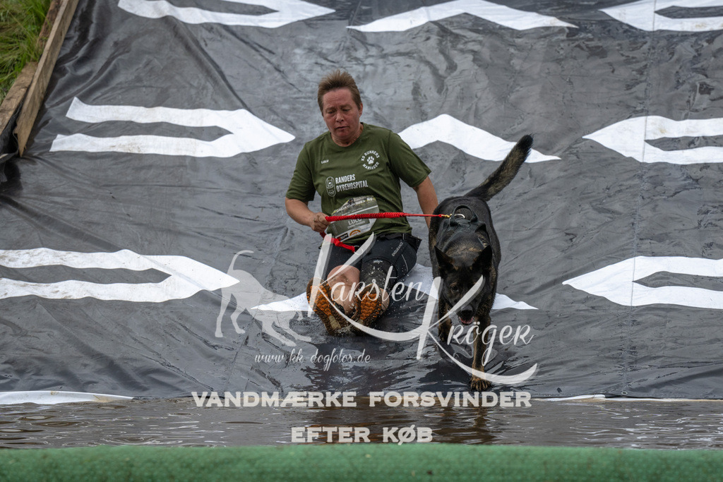 1605_ZZ92253 | kk-dogfotos