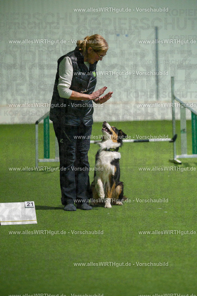 7R507638 | Professionelle Tierfotografie in Mönchengladbach von Daniel Wirth (allesWIRTHgut). Liebevolle & natürliche Bilder von Hunden & Katzen für unvergessliche Erinnerungen.