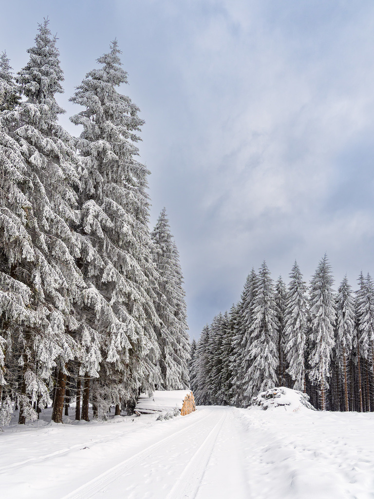 Landschaft im Winter im Thüringer Wald in der Nähe von Schmiedefeld am Rennsteig | Landschaft im Winter im Thüringer Wald in der Nähe von Schmiedefeld am Rennsteig.