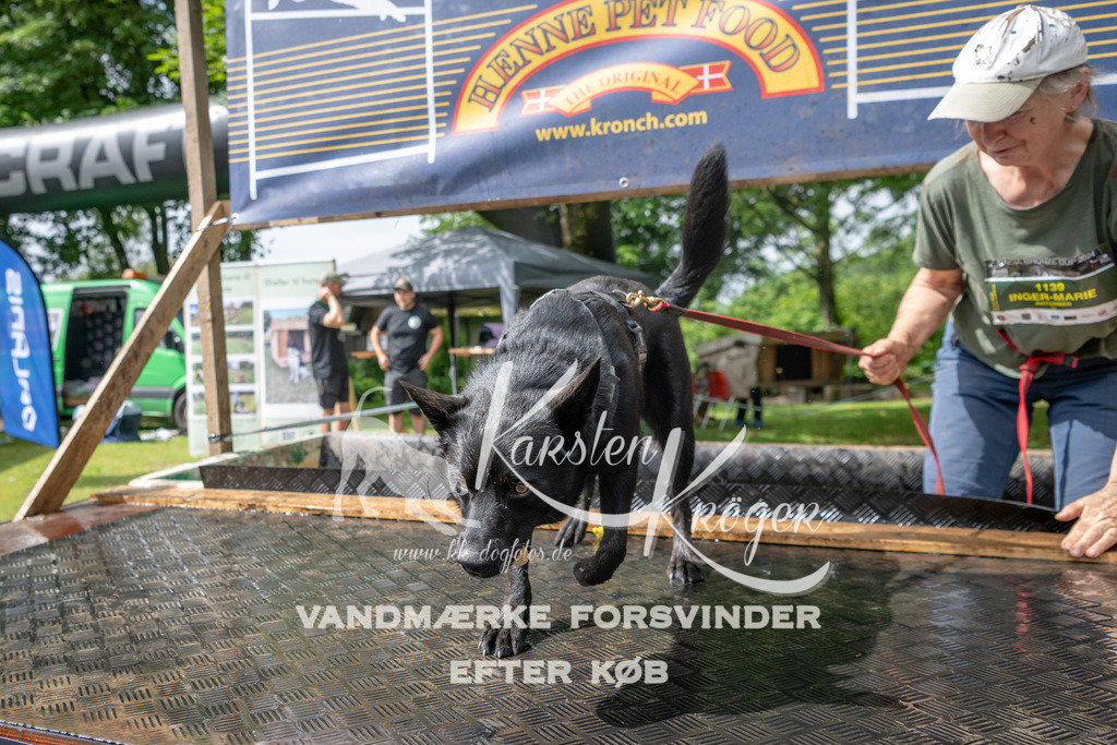 1015_ZZ90416 | kk-dogfotos