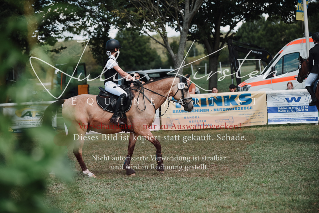 DSC_5837 | Pferde- und Turnierfotografie in Westsachsen. Pferdeportraits, Auftragszeichnungen und intuitive Kunst.