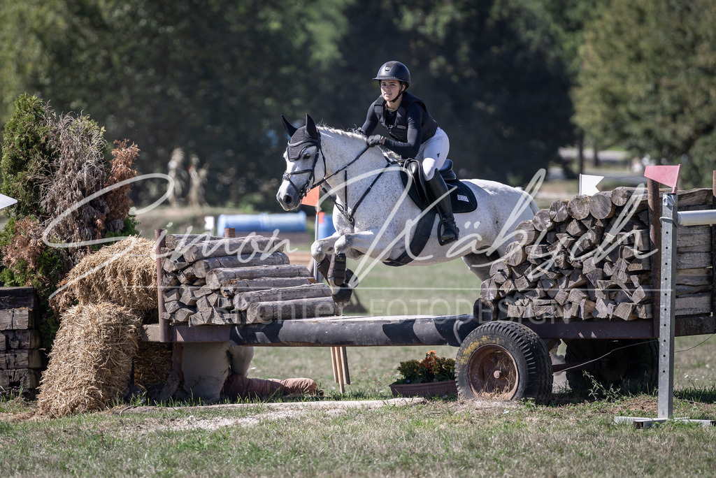 20260906-_3LI4019 | Tierfotografie Pferde, Hunde, Katzen, Haustiere.
Turnierfotografie Reitturniere, Reiten, Springreiten, Dressur in Hanau, dem Main-Kinzig-Kreis und dem Rhein-Main- Gebiet um Frankfurt