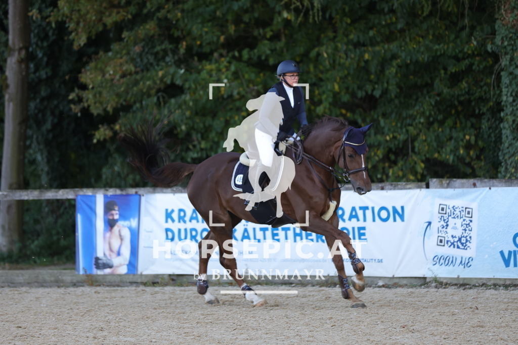 0P6A2030 | Willkommen bei Brunnmayr - Design & Fotografie – Ihrem Spezialisten für Reitturniere und Pferdeveranstaltungen in Oberösterreich, Salzburg und Bayern! Seit über 17 Jahren sind wir leidenschaftlich dabei.