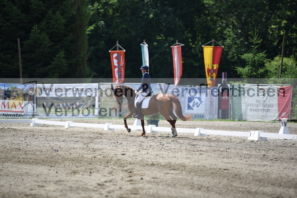 DSC_0584 | equestrian-live-com