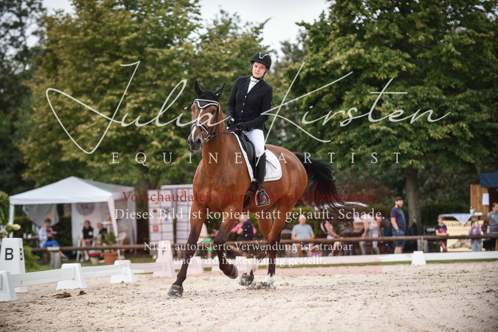 DSC_8094 | Pferde- und Turnierfotografie in Westsachsen. Pferdeportraits, Auftragszeichnungen und intuitive Kunst.
