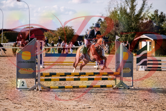 2026_10_03_Siefer-Hof_155750_Z81_77411807 | Professionelle Reitsport-, Turnier- und Eventfotografie von Robert Broda. Galerien mit ausgewählten und bearbeiteten Bildern direkt online ansehen und bestellen.